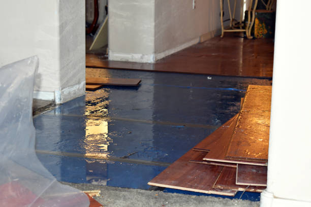 Professional Water Damage Restoration technician working in Chisago City, MN